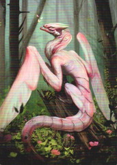 Art Series (46/54) - Bloomvine Regent